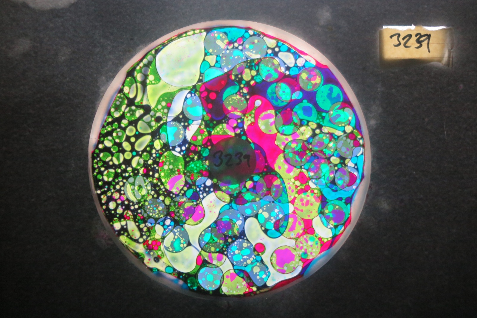 BV3239 bubble vision oil wheel